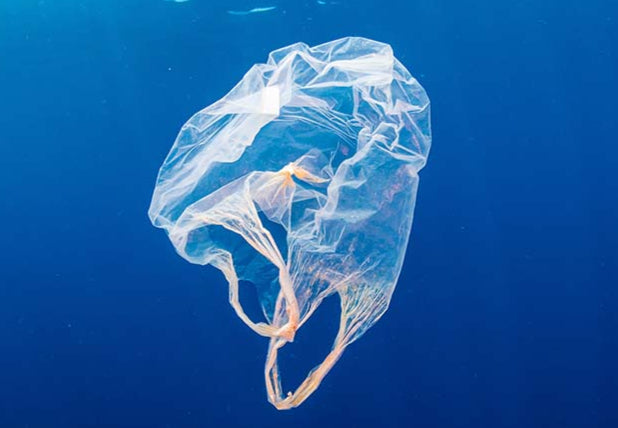 plastic bag floating in the ocean